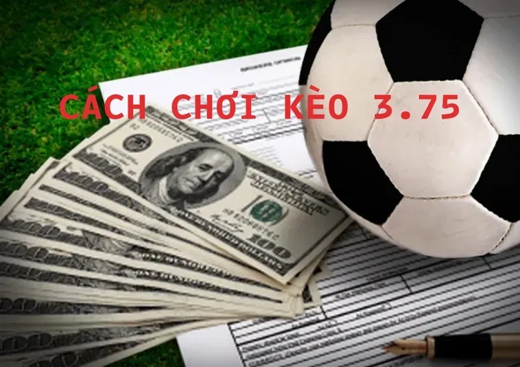 Cách Chinh Phục Kèo 3.75 Hiệu Quả Nhất Cho Người Đam Mê Bóng Đá