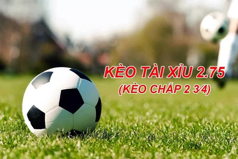 Tìm Hiểu Cách Chơi Kèo 2.75 Luôn Giành Được Chiến Thắng Đậm