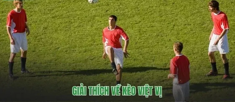 Hướng Dẫn Cách Soi Kèo Việt Vị Trong Bóng Đá Luôn Giành Lợi Thế