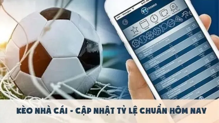 Kinh Nghiệm Đánh Kèo Tài Xỉu Hiệp 2 Chắc Thắng Từ Chuyên Gia