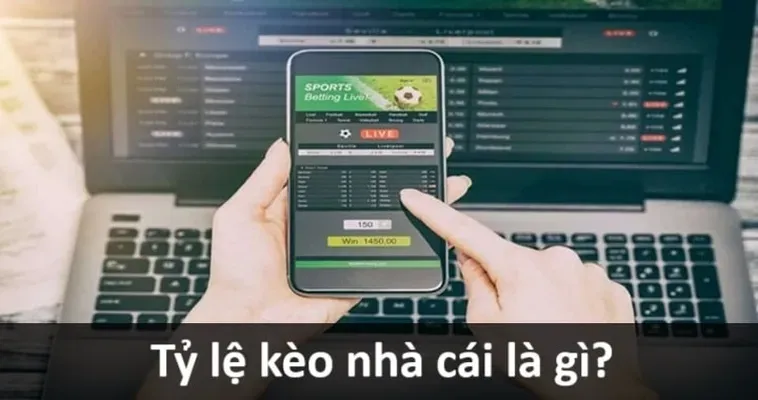 Bí Kíp Soi Kèo Bóng Đá Hiệu Quả Cho Người Mới Bắt Đầu