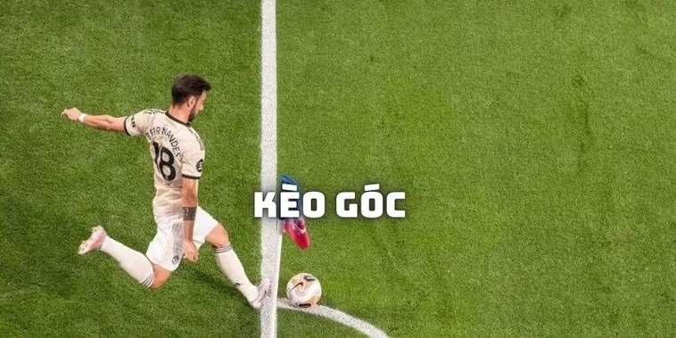 Bí Kíp Soi Kèo Phạt Góc Bóng Đá Luôn Thắng Cho Người Mới