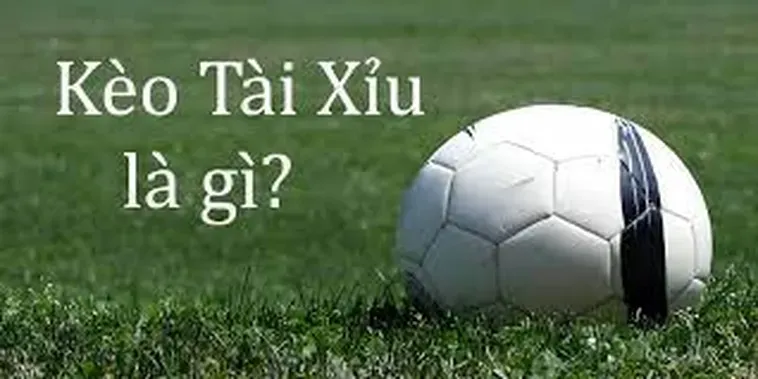 Cách Soi Kèo Tài Xỉu Bóng Đá Hiệu Quả Từ Các Chuyên Gia Hàng Đầu