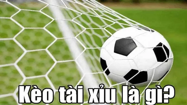Cách Soi Kèo Tài Xỉu Bóng Đá Hiệu Quả Nhất Cho Người Mới