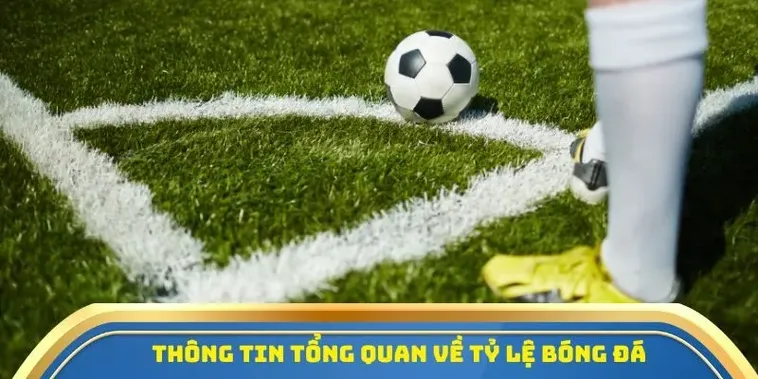 Soi Kèo Tỷ Lệ Cá Cược Bóng Đá Kèo Nhà Cái Thắng Lớn Mỗi Đêm