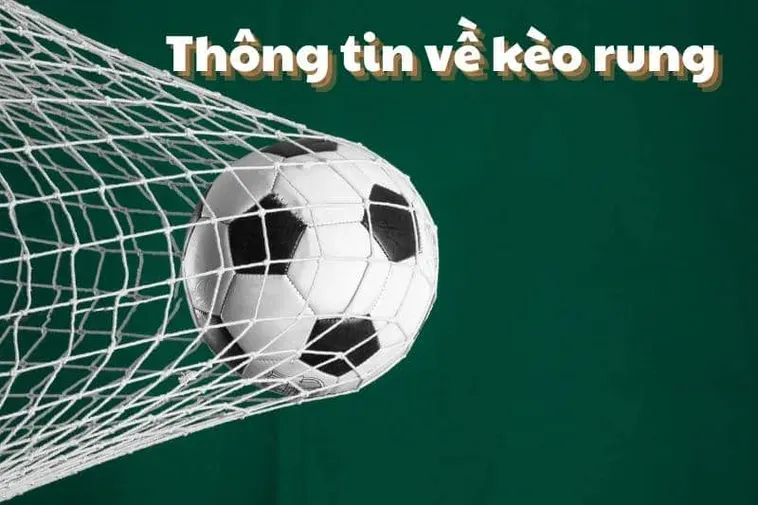 Bí Quyết Soi Kèo Rung Trong Bóng Đá Giúp Anh Em Về Bờ Cực Nhanh